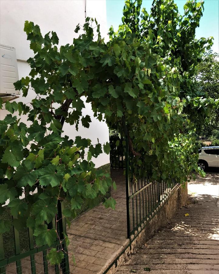 Alojamientos Loma De Mariangela Coto Rios Exterior photo